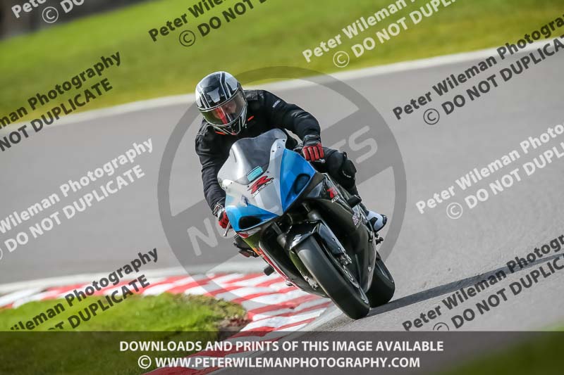 Oulton Park 21st March 2020;PJ Motorsport Photography 2020;anglesey;brands hatch;cadwell park;croft;donington park;enduro digital images;event digital images;eventdigitalimages;mallory;no limits;oulton park;peter wileman photography;racing digital images;silverstone;snetterton;trackday digital images;trackday photos;vmcc banbury run;welsh 2 day enduro